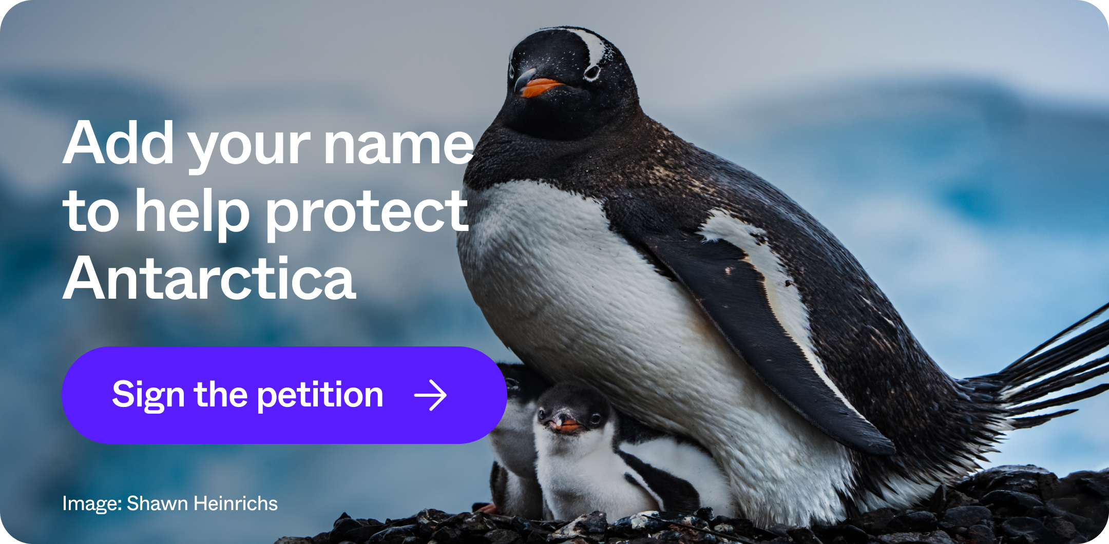 Add your name to help protect Antarctica | Sign the petition