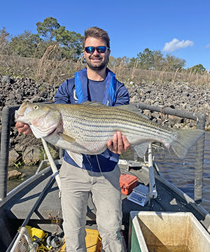 Biologist holding striped bass