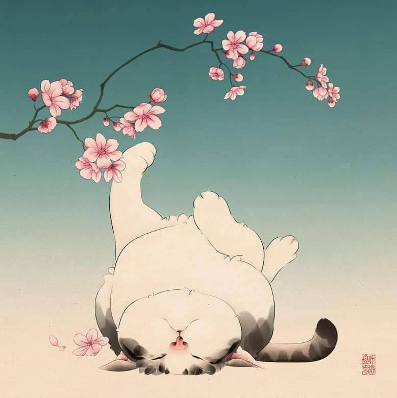 Sakura - Cat - Zen