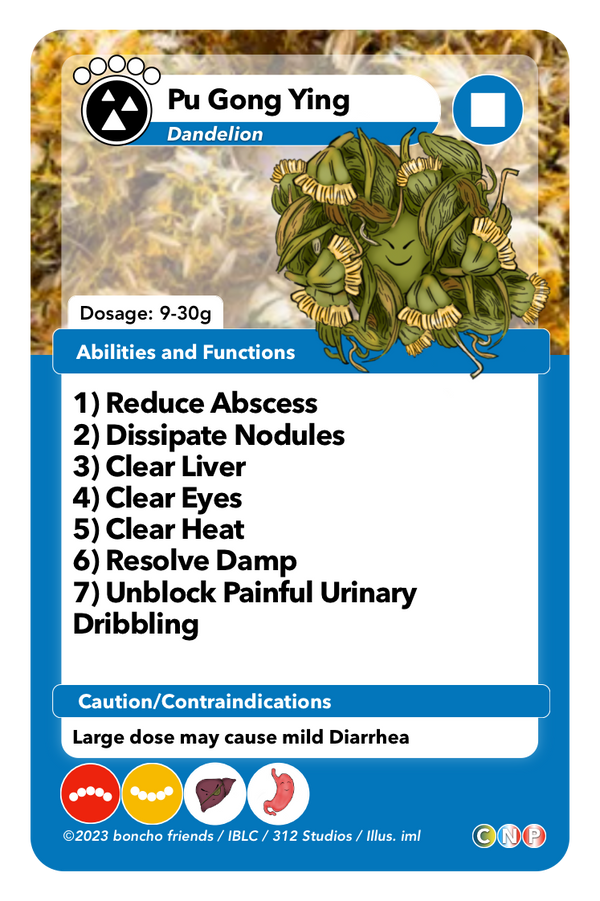 🌼 Pu Gong Ying (Dandelion) 〰️ Reduces Abscesses 〰️ Dissipates Nodules 〰️ Clears Liver 〰️ Clears Eyes 〰️ Clears Heat 〰️ Resolves Damp 〰️ Unblocks Painful Urinary Dribbling ❗ Caution: • Large doses may cause mild diarrhea. 📝 Top three supplemental benefits: • Supporting liver health • Promoting digestion • Acting as a diuretic
