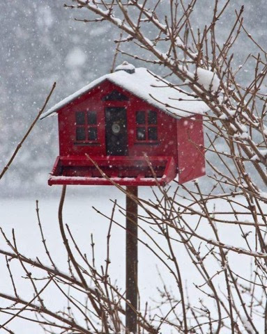 Winter-Birdhouse-Red