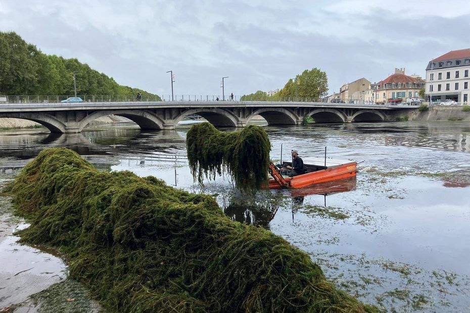 Pourquoi des bateaux remplis d’algues sillonnent le Cher à Montluçon