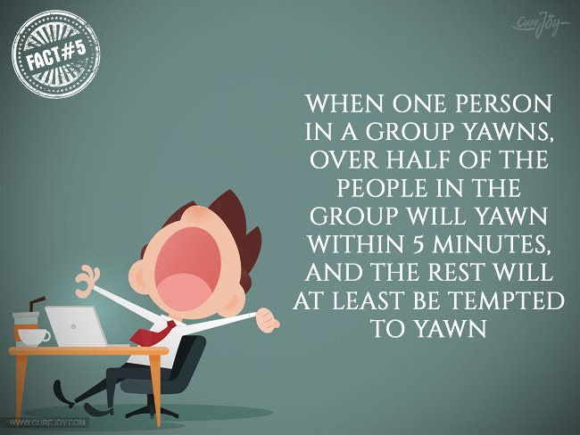Khi có một người trong nhóm ngáp, hơn một nửa số người trong nhóm sẽ ngáp trong vòng 5 phút và những người còn lại ít nhất sẽ bị cám dỗ để ngáp theo.