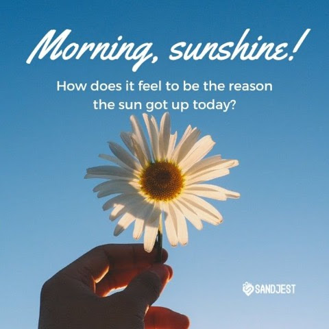 Good-Morning-Sunshine-Reason