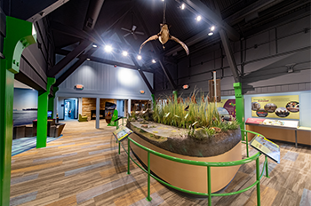 newly renovated visitor with exhibit
