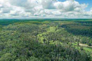 An aerial overview of the Black River Ranch property. An agreement is in process, funded by the Forest Legacy program. 