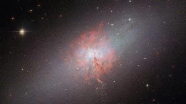 Dwarf Galaxy NGC 5253