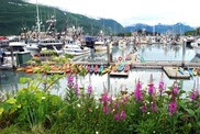 Alaska-harbor-Valdez
