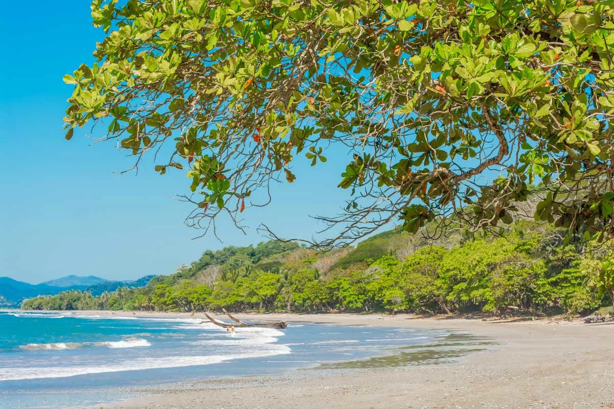 Playa Manzanillo Costa Rica