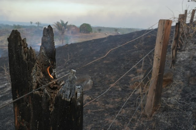 Fumaça após foco de fogo na região de Amajari, Roraima, em fevereiro de 2024