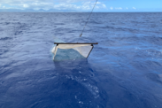 Tucker trawl net in open blue water just after deployment.