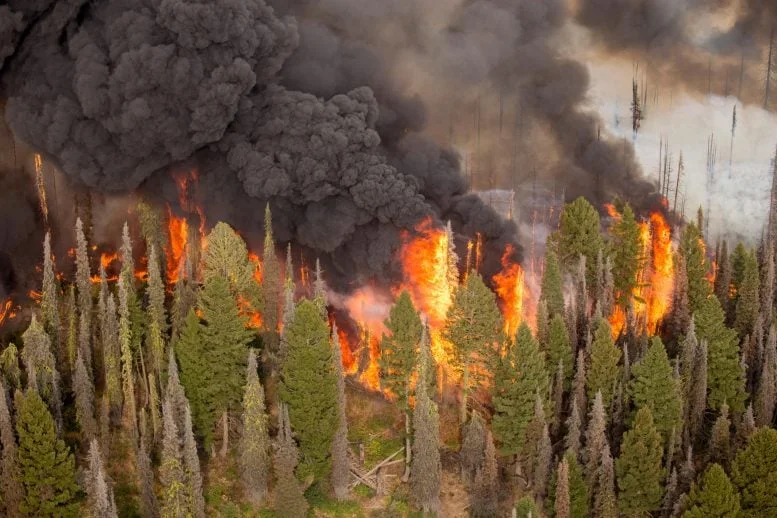 Pioneer Fire, Boise National Forest