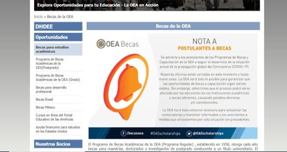 Becas de la Organización de los Estados Americanos.