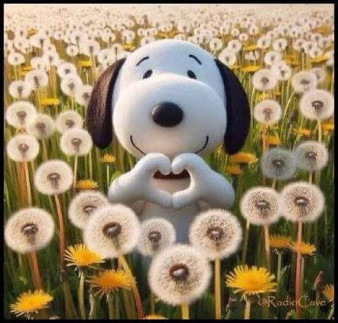 Dog-Snoopy-love-Dandellions