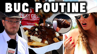 Would you eat bugs in poutine? Stampede-goers respond