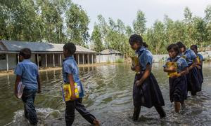 Estudiantes se dirigen al colegio tras las fuertes inundaciones en Sariakandi Upazila, en Bangladesh, en septiembre de 2024.