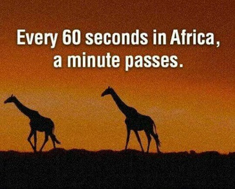 Giraffe_60_seconds