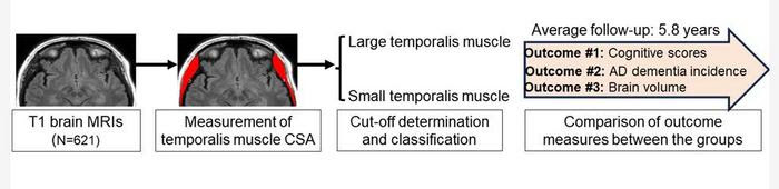 Schematic diagram