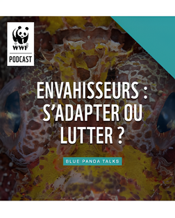 Épisode 3, Envahisseurs : s’adapter ou lutter ?