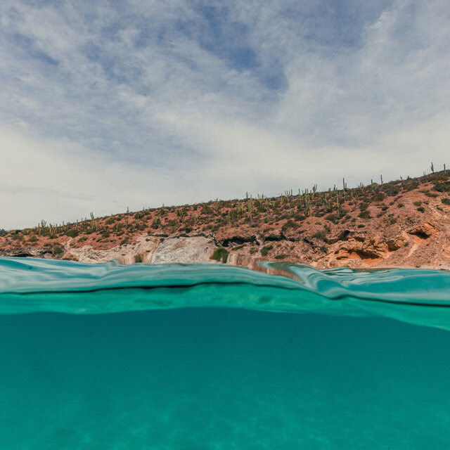 Clear turquoise seawater meets a desert-like shoreline covered in cactus. 