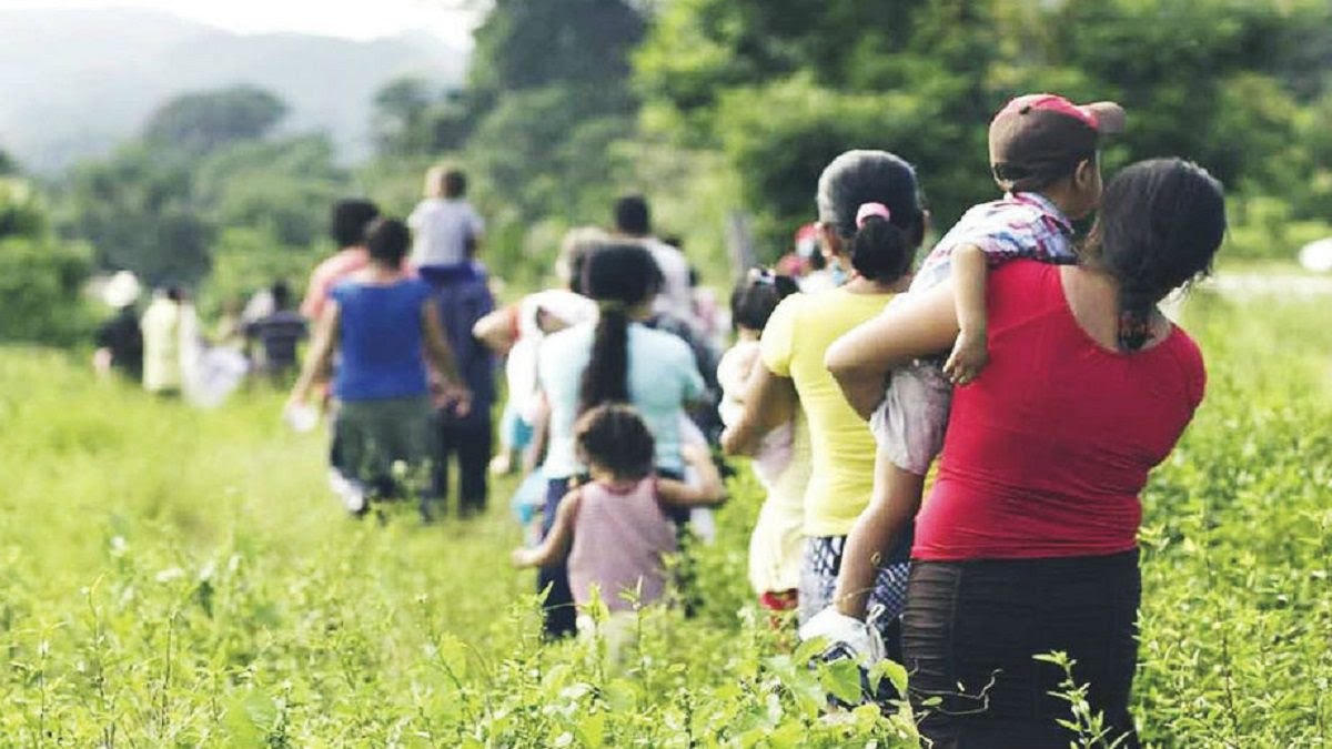 VIOLENTADAS y MALPAGADAS: la cruda realidad de las migrantes venezolanas en Colombia