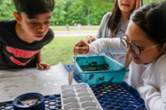 Fifth-grade students participate in Meaningful Watershed Educational Experience involving a benthic macroinvertebrate investigation