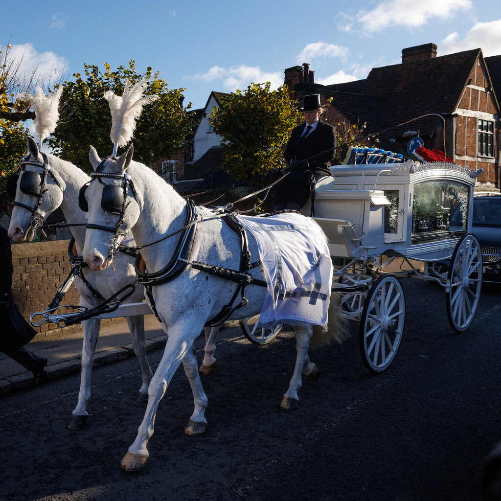 Two white horses with feathers on their heads pull a white hearse, steered by a man in a top hat.