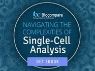 Navigating the Complexities of Single-Cell Analysis