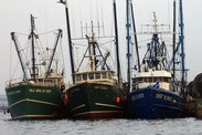 Fishing boats in New England