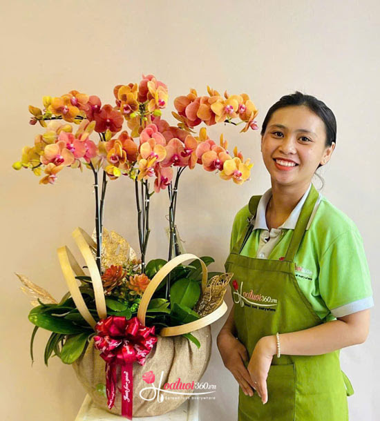 Shop lan hồ điệp quận 8
