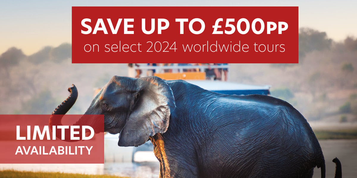 2025 WW Tours - ┬ú500pp offer_Banners 600x3002