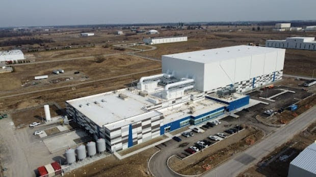 Massive cricket-processing facility comes online in London, Ont. | CBC News