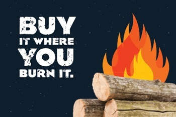 graphic with black black background, illustrated orange campfire and logs, with block text saying Buy It Where You Burn It.