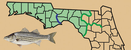 Striped Bass Map