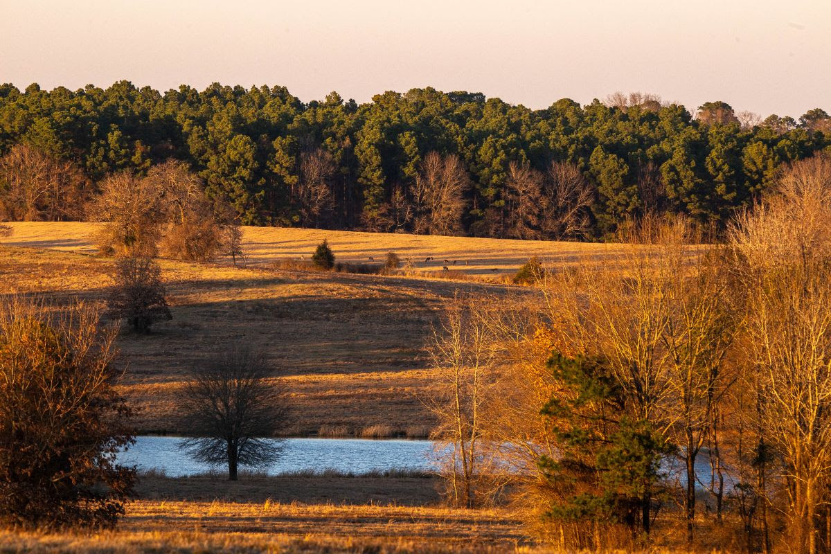 Scenic Elevation Change