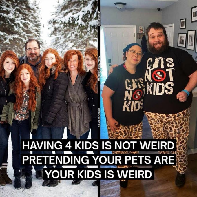 People who prefer cats over kids.