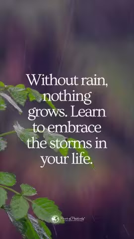 Rain-grows-embrace-Storms
