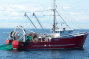 Red fishing boat hauling trawl gear on open water.