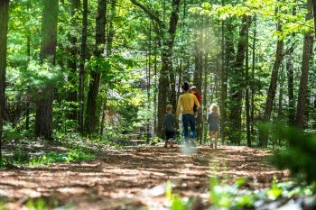 A young family walks down a sunny forest path.