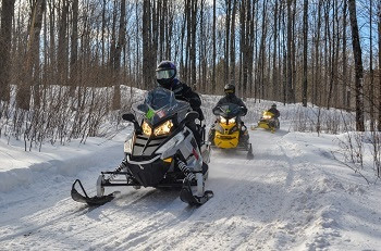 three snowmobiles, lights on, travel single-file down a snow-covered, forested trail. Blue sky peeks through tall, bare trees