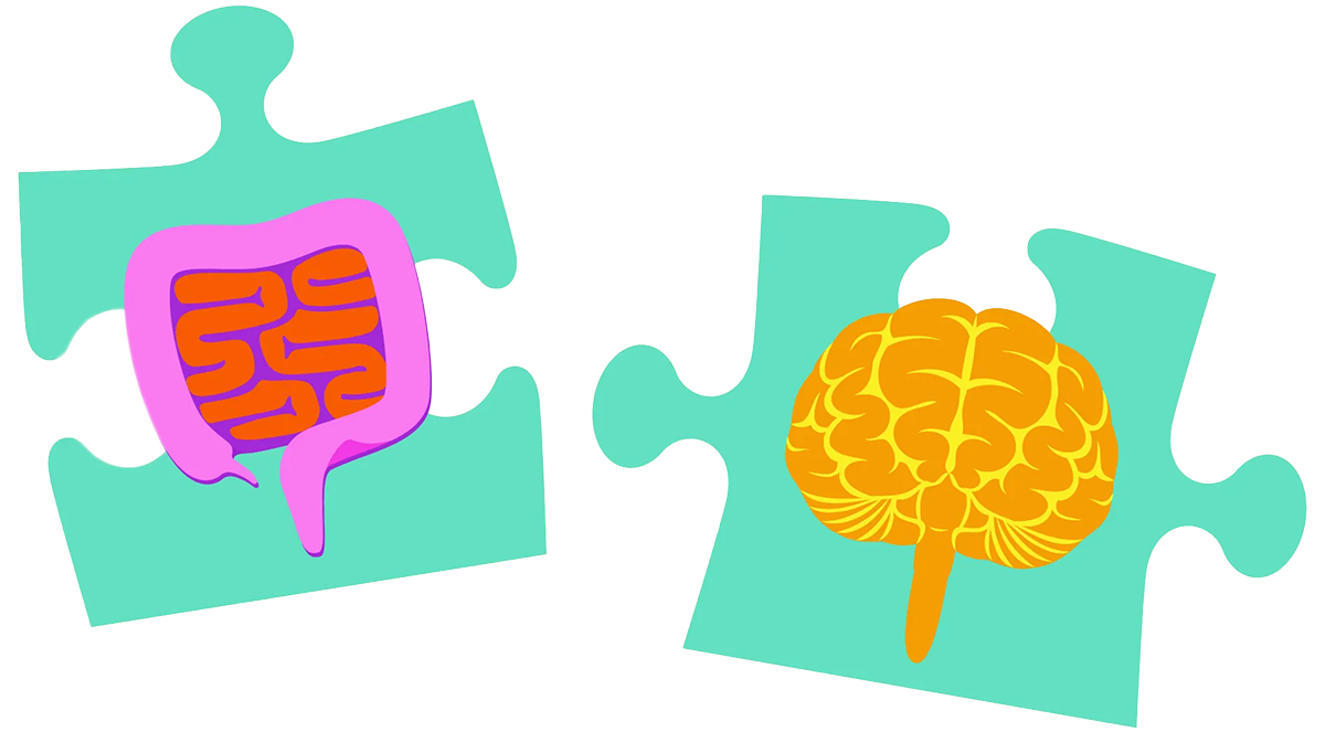 Illustration of gut and brain as puzzle pieces.