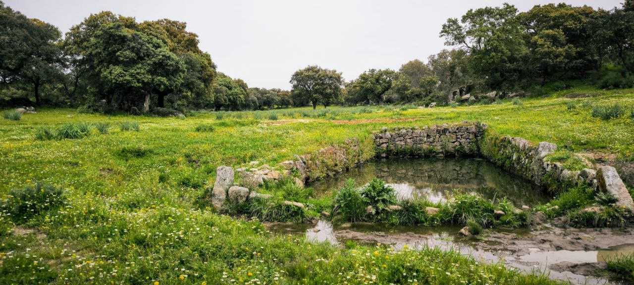 Situación de las vías pecuarias y fuentes naturales