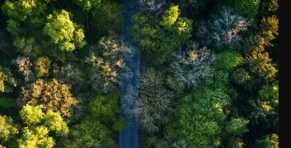 New data finds that EU renewable ethanol maintains record level of greenhouse-gas reduction