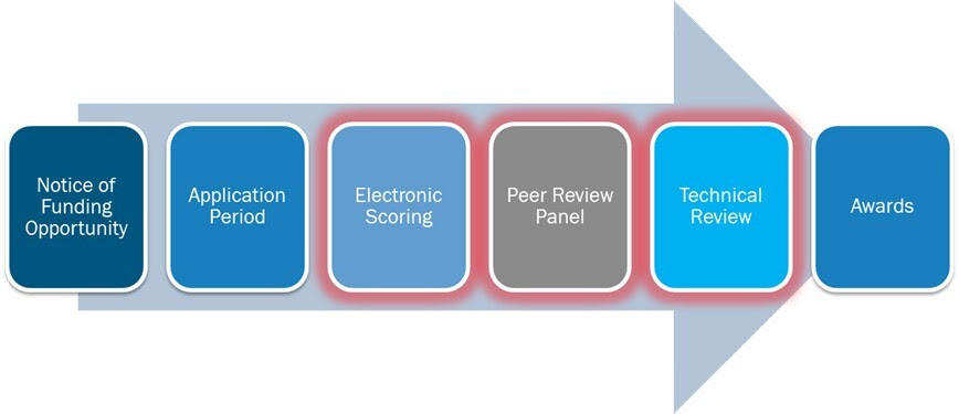 Phases of AFGP Application Process