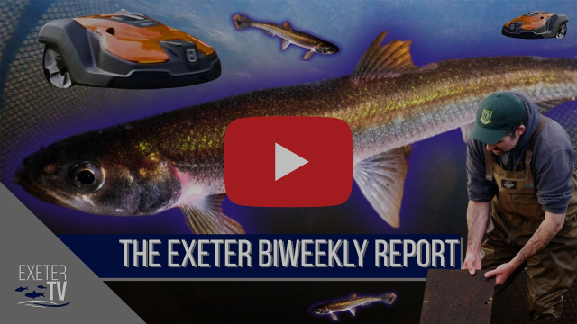 Smelt, Food Trucks, & Lawn Robots |The Exeter Biweekly Report - 03/29/24