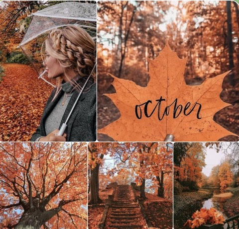 October-Fall-Collage