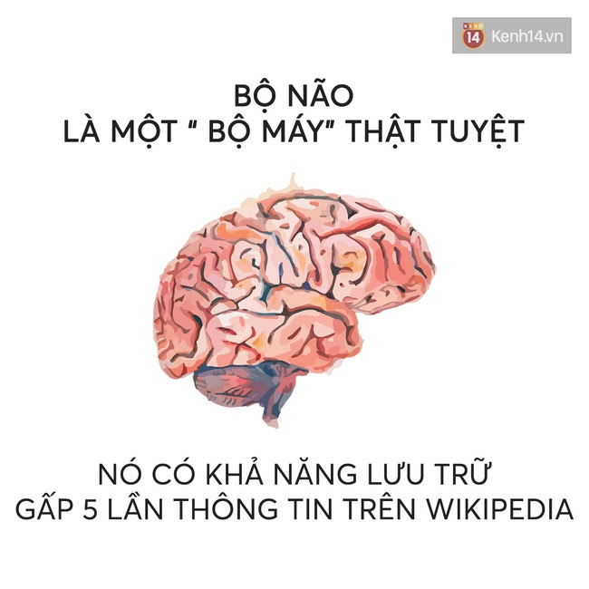 9 sự thật thú vị về cuộc sống mà bạn nên biết - Ảnh 5.