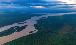 Vista del río Esequibo