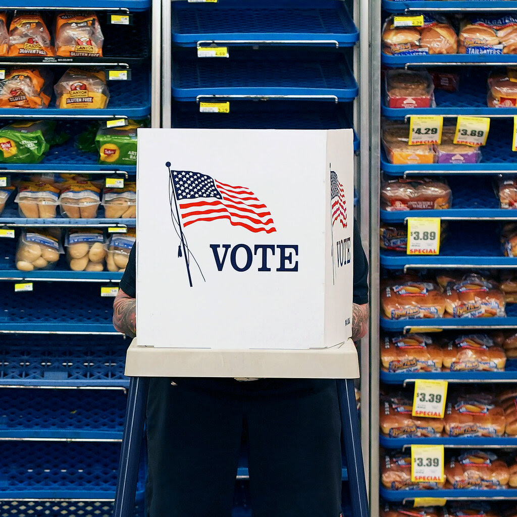 A voting booth inside a grocery store.