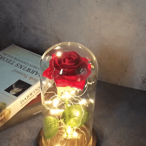 ValentijnRoos | Cadeau voor jouw Liefde 2024